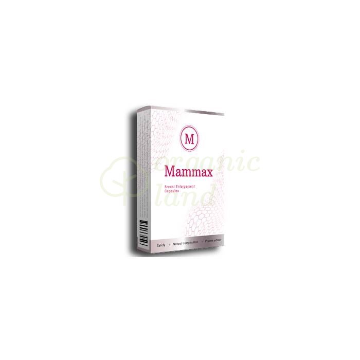 Mammax